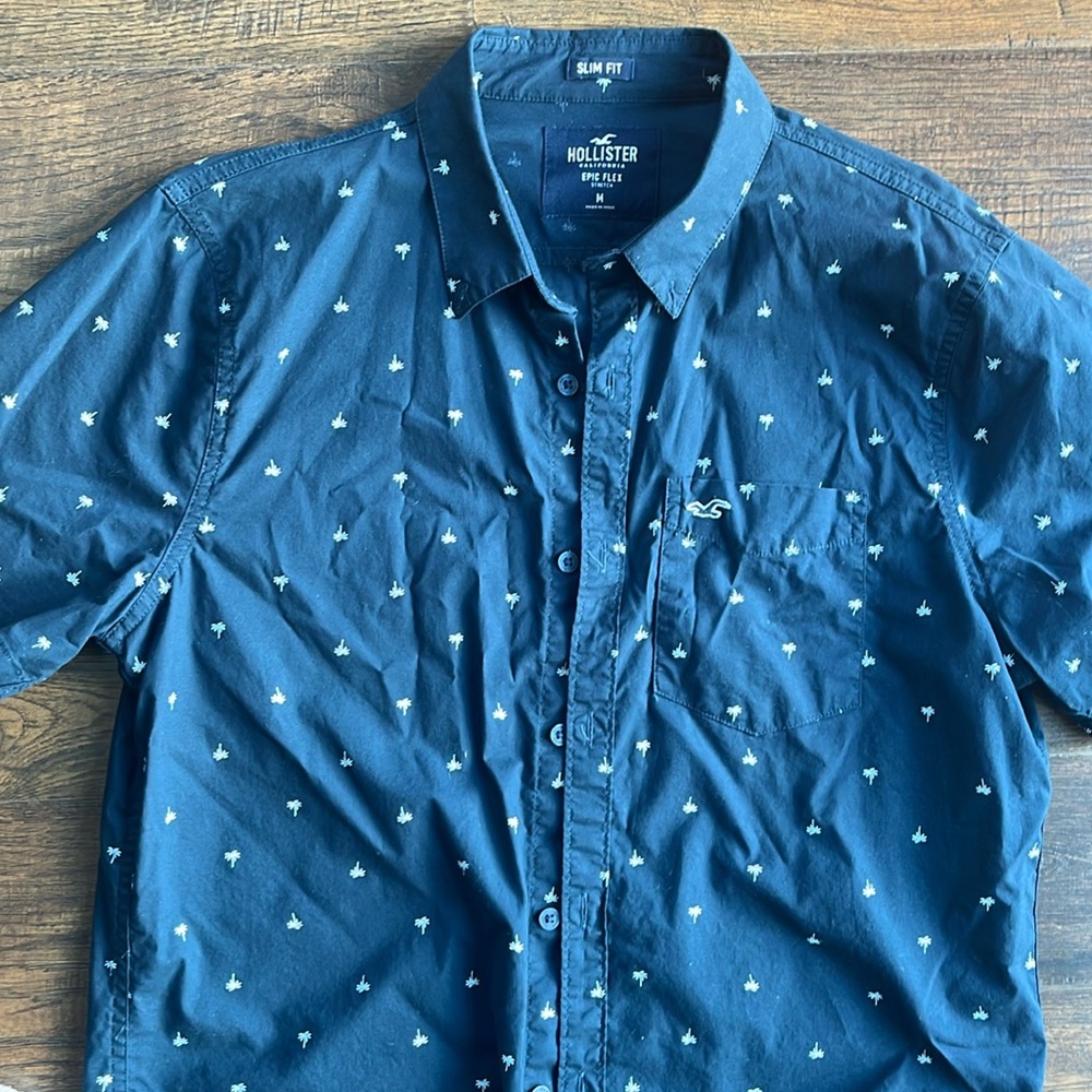 Hollister button down shirt